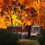 bushfire